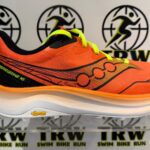 Saucony peregrine 16